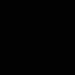 Meet your Posher, Maya